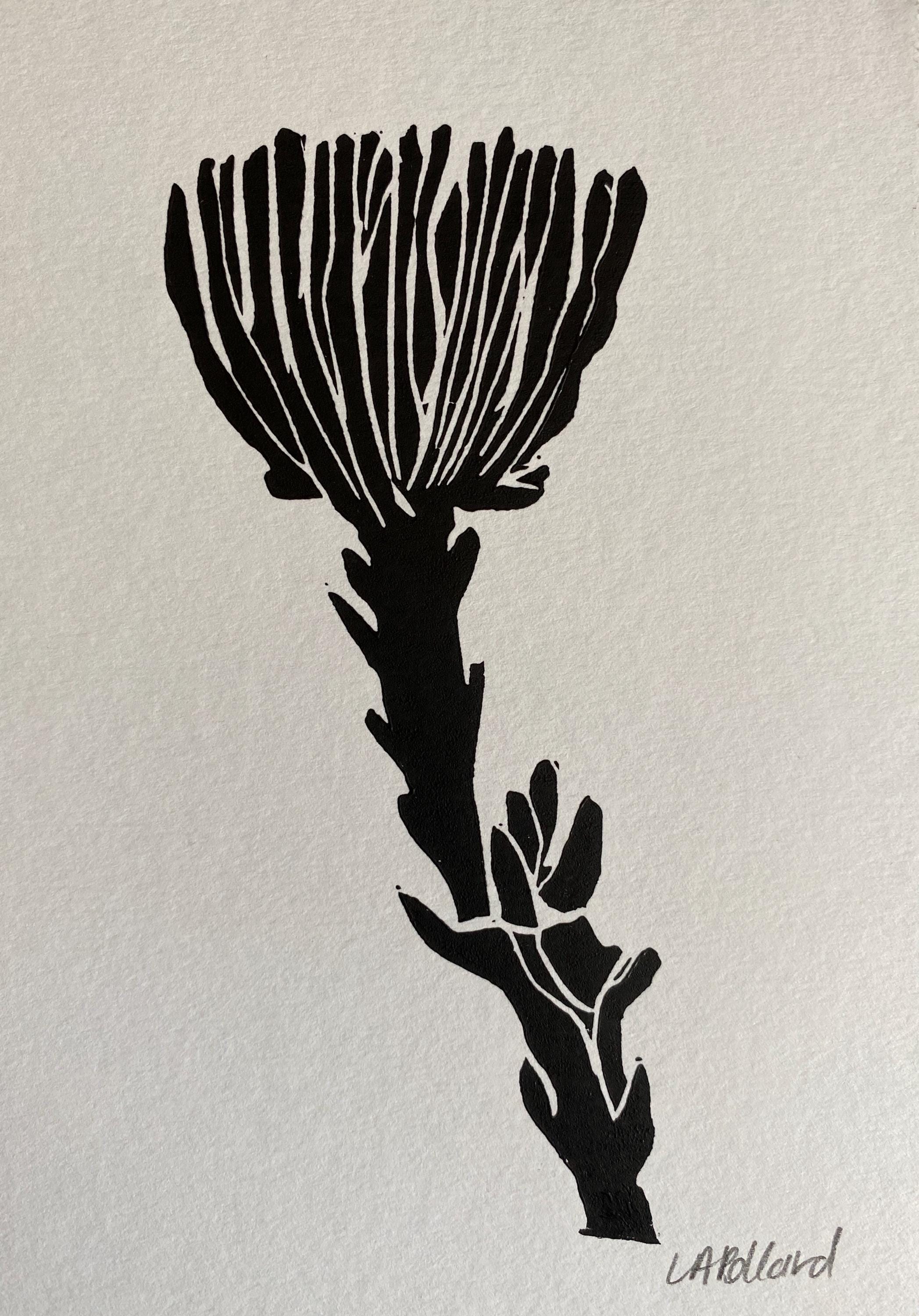 Handmade Original Linocut Print - Protea