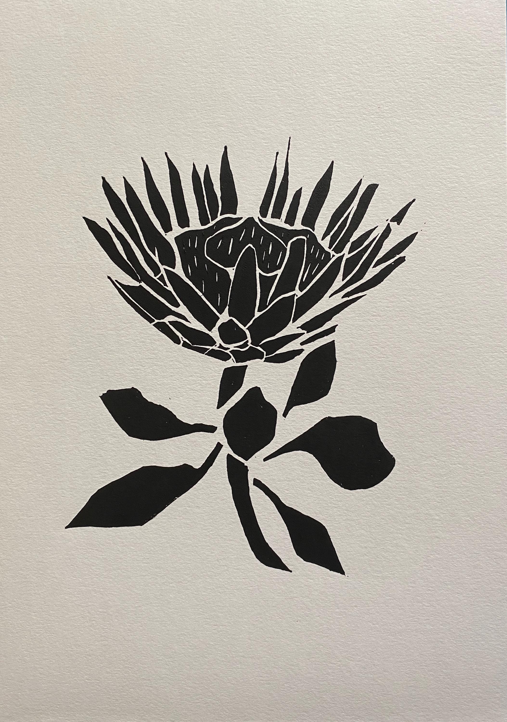 Handmade Original Linocut Print - King Protea